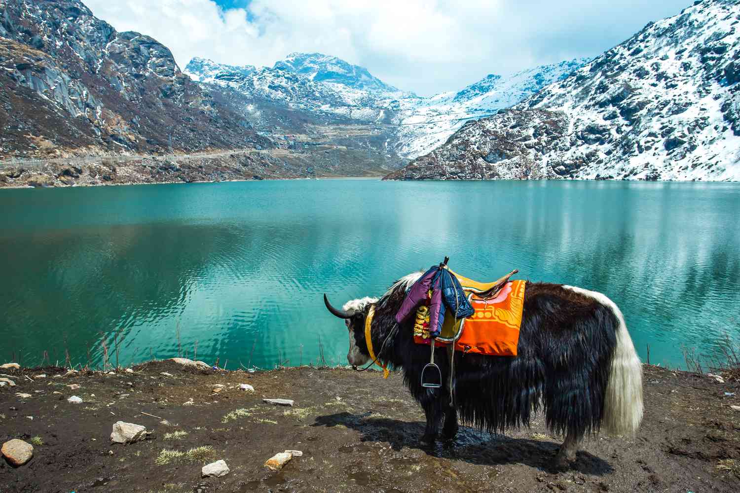 Tour Package in Sikkim